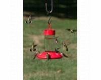 Dr. JB's 16 oz Clean Feeder, All Red